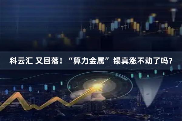 科云汇 又回落！“算力金属” 锡真涨不动了吗？