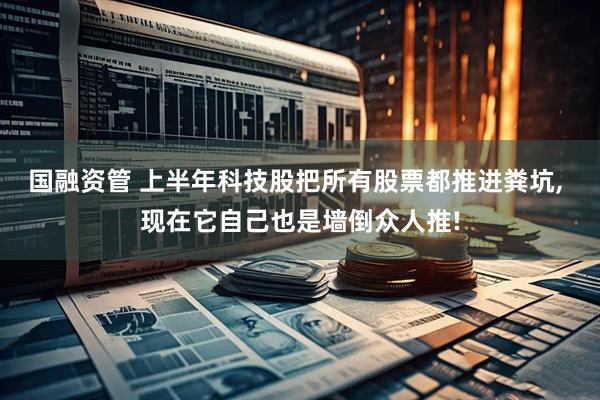 国融资管 上半年科技股把所有股票都推进粪坑, 现在它自己也是墙倒众人推!